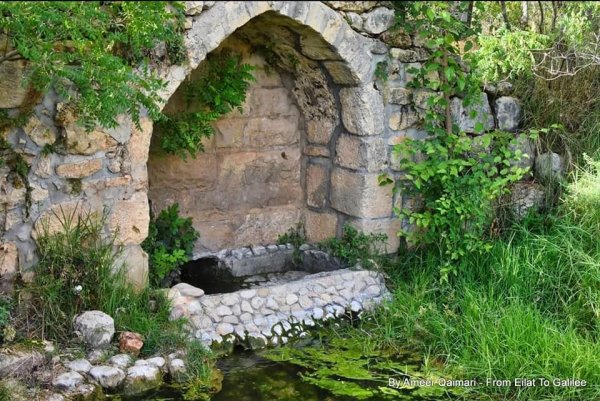 | موسوعة القرى الفلسطينية  | موسوعة القرى الفلسطينية