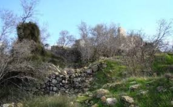 | موسوعة القرى الفلسطينية  | موسوعة القرى الفلسطينية