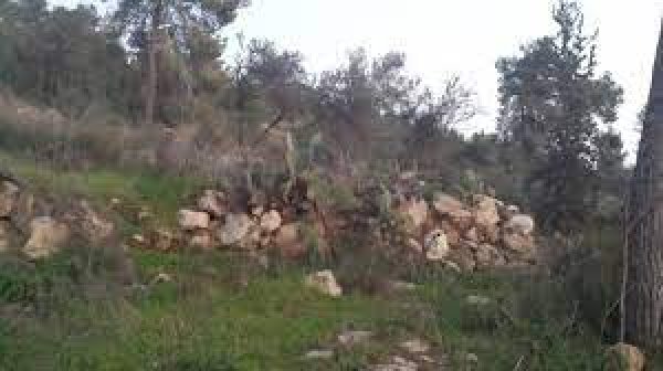 | موسوعة القرى الفلسطينية  | موسوعة القرى الفلسطينية