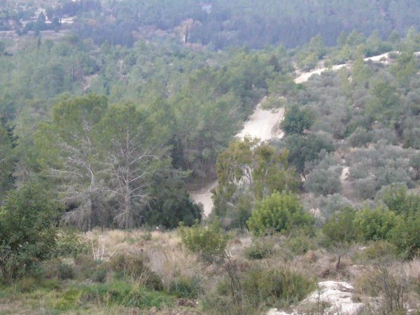 | موسوعة القرى الفلسطينية  | موسوعة القرى الفلسطينية