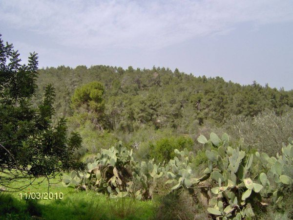  | موسوعة القرى الفلسطينية