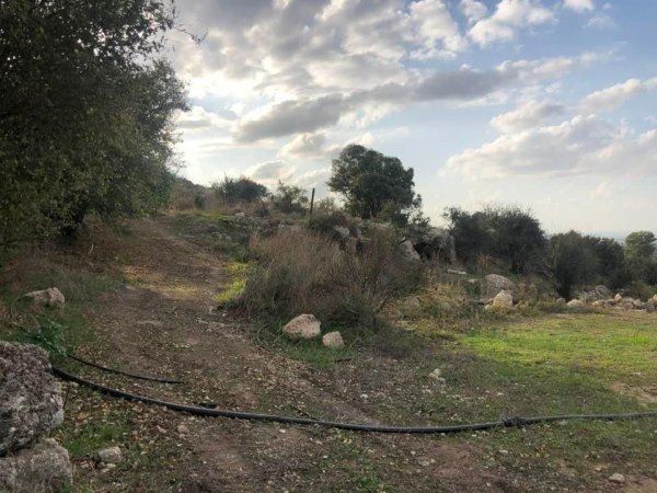 | موسوعة القرى الفلسطينية  | موسوعة القرى الفلسطينية
