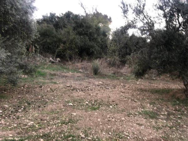 | موسوعة القرى الفلسطينية  | موسوعة القرى الفلسطينية