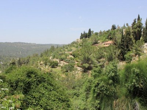 | موسوعة القرى الفلسطينية  | موسوعة القرى الفلسطينية