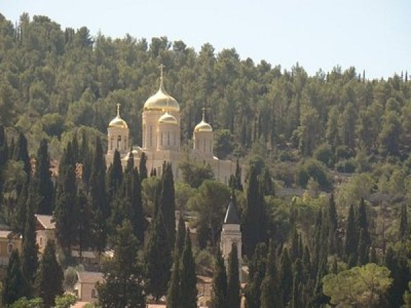 | موسوعة القرى الفلسطينية  | موسوعة القرى الفلسطينية