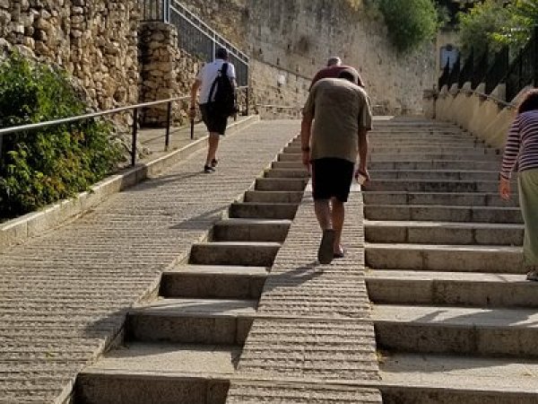 | موسوعة القرى الفلسطينية  | موسوعة القرى الفلسطينية