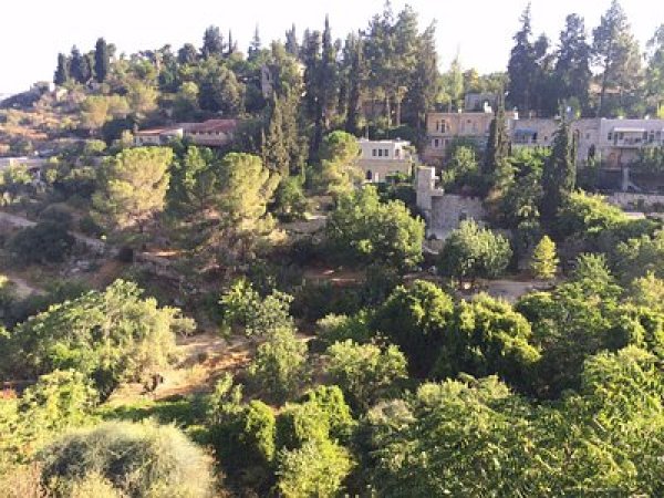 | موسوعة القرى الفلسطينية  | موسوعة القرى الفلسطينية
