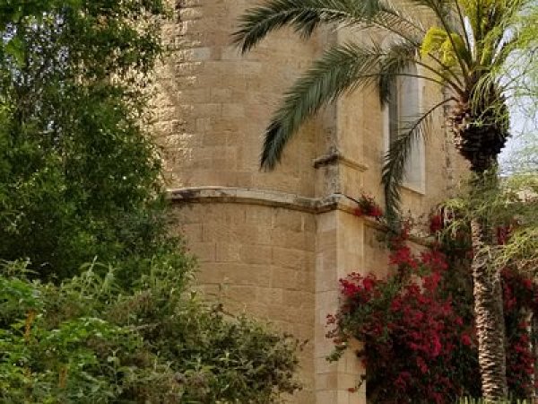 | موسوعة القرى الفلسطينية  | موسوعة القرى الفلسطينية