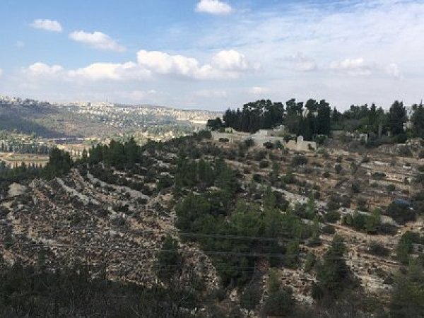 | موسوعة القرى الفلسطينية  | موسوعة القرى الفلسطينية