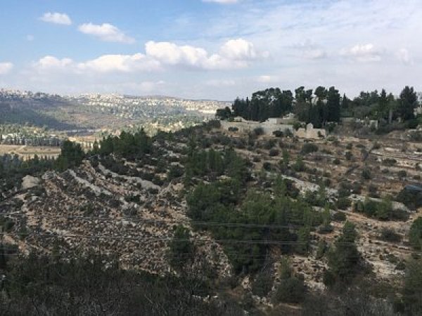 | موسوعة القرى الفلسطينية  | موسوعة القرى الفلسطينية