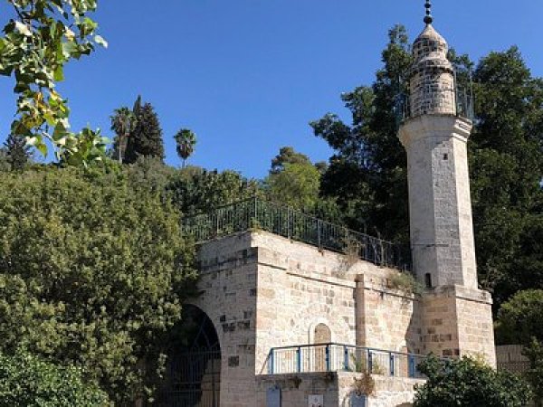 | موسوعة القرى الفلسطينية  | موسوعة القرى الفلسطينية