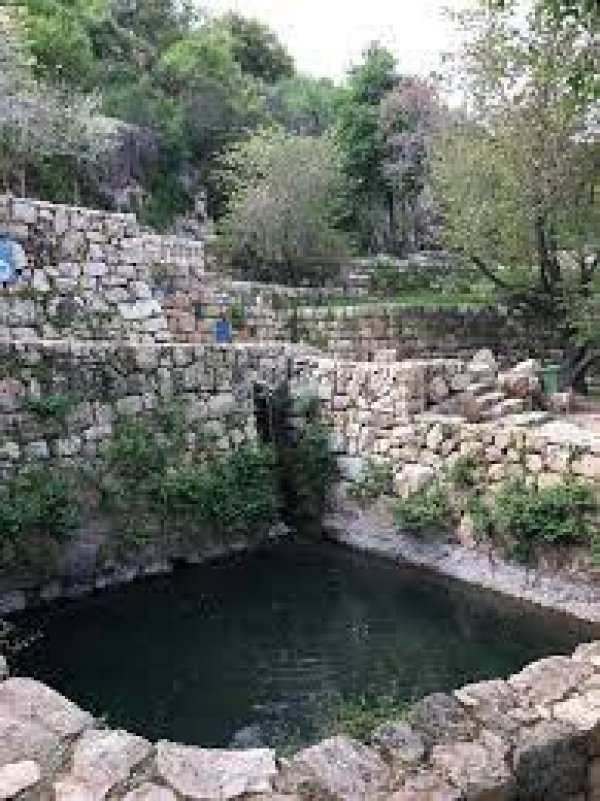 | موسوعة القرى الفلسطينية  | موسوعة القرى الفلسطينية