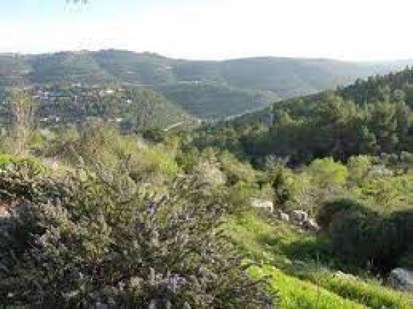 | موسوعة القرى الفلسطينية  | موسوعة القرى الفلسطينية