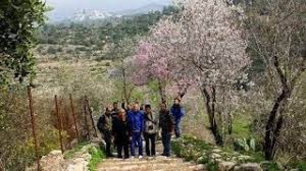 | موسوعة القرى الفلسطينية  | موسوعة القرى الفلسطينية