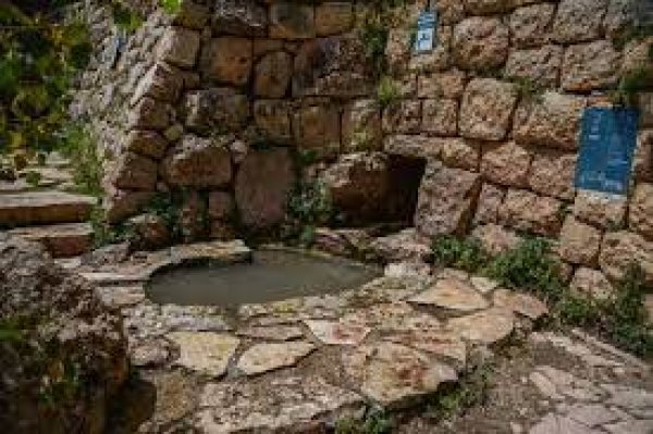 | موسوعة القرى الفلسطينية  | موسوعة القرى الفلسطينية