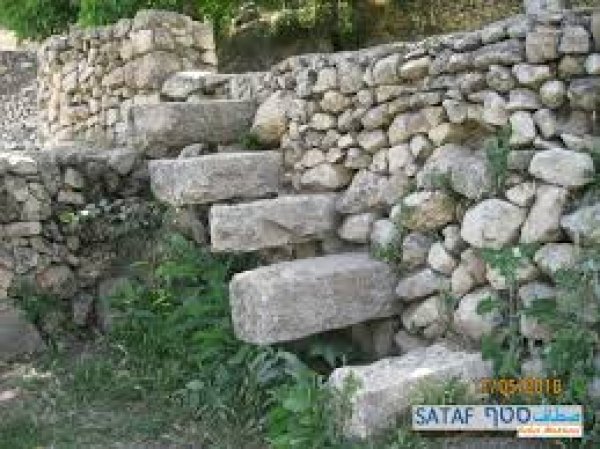 | موسوعة القرى الفلسطينية  | موسوعة القرى الفلسطينية