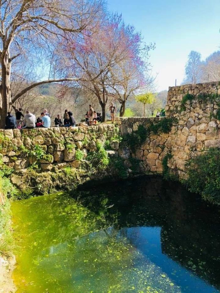 صَطَاف/ سَطَاف  | موسوعة القرى الفلسطينية