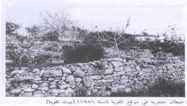 | موسوعة القرى الفلسطينية  | موسوعة القرى الفلسطينية