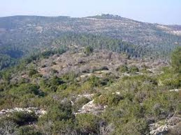 | موسوعة القرى الفلسطينية  | موسوعة القرى الفلسطينية
