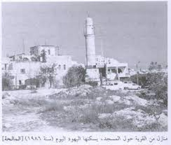 | موسوعة القرى الفلسطينية  | موسوعة القرى الفلسطينية