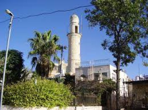 | موسوعة القرى الفلسطينية  | موسوعة القرى الفلسطينية