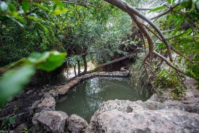 الجُوْرَة