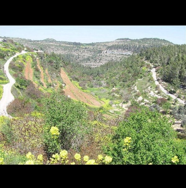 | موسوعة القرى الفلسطينية  | موسوعة القرى الفلسطينية
