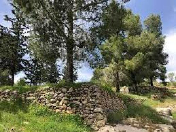  | موسوعة القرى الفلسطينية