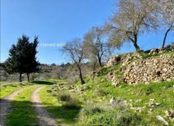  | موسوعة القرى الفلسطينية