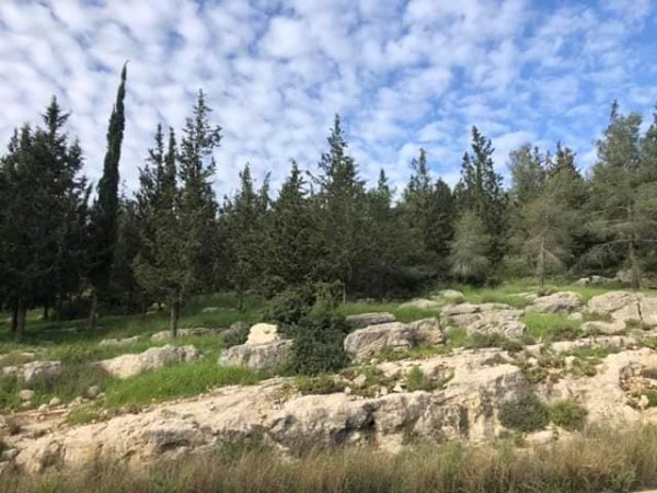  | موسوعة القرى الفلسطينية