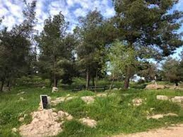  | موسوعة القرى الفلسطينية