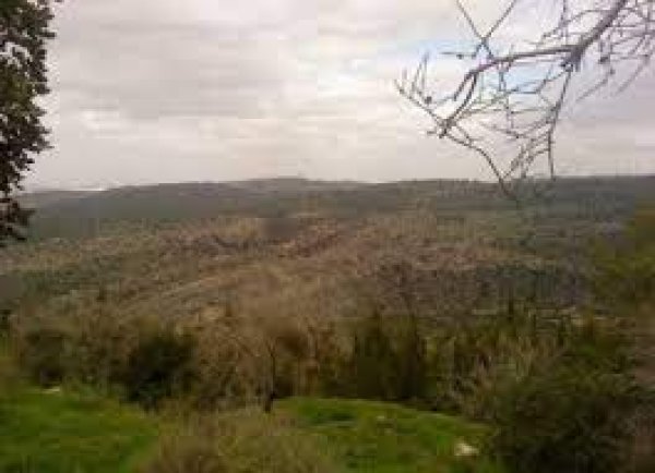  | موسوعة القرى الفلسطينية