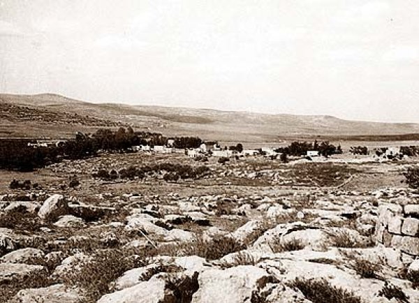 عرتوف /  القدس عرتوف /  القدس