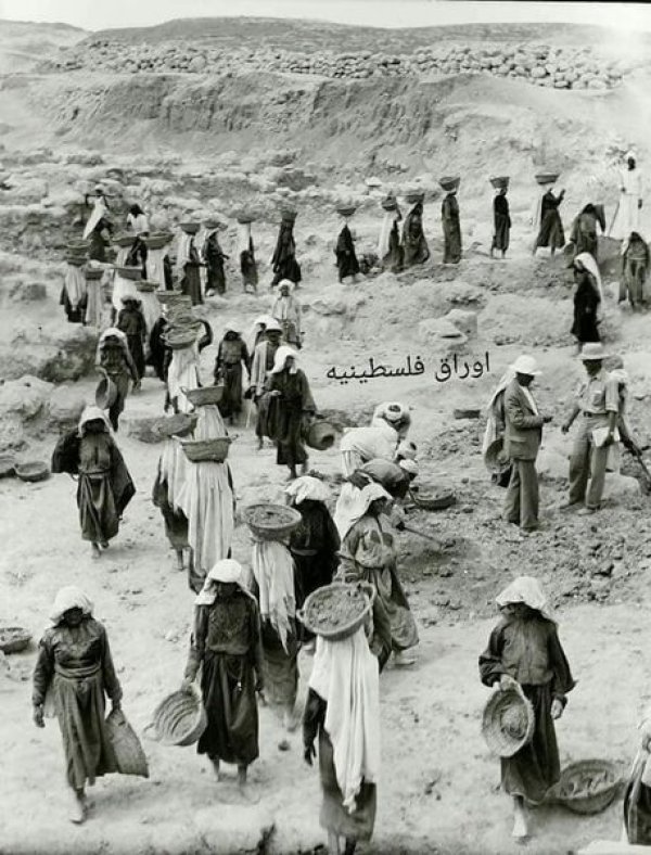 عرتوف / القدس عرتوف / القدس
