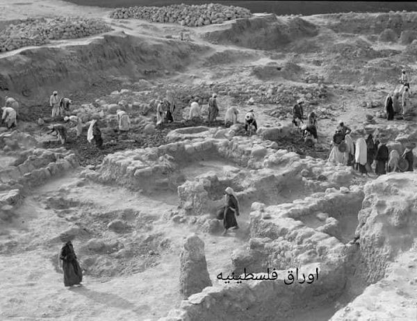 عرتوف / القدس عرتوف / القدس