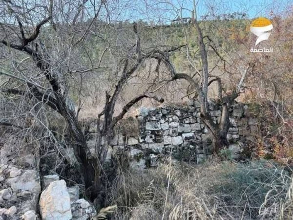  | موسوعة القرى الفلسطينية