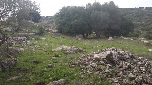 | موسوعة القرى الفلسطينية  | موسوعة القرى الفلسطينية