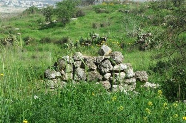 | موسوعة القرى الفلسطينية  | موسوعة القرى الفلسطينية