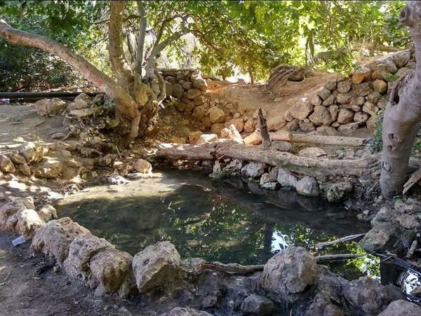 | موسوعة القرى الفلسطينية  | موسوعة القرى الفلسطينية