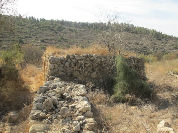| موسوعة القرى الفلسطينية  | موسوعة القرى الفلسطينية