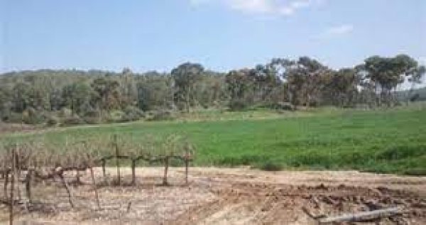 قرية المغلس / الخليل