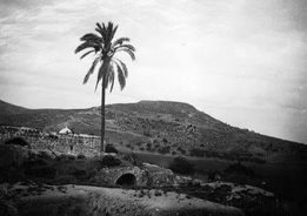 | موسوعة القرى الفلسطينية  | موسوعة القرى الفلسطينية
