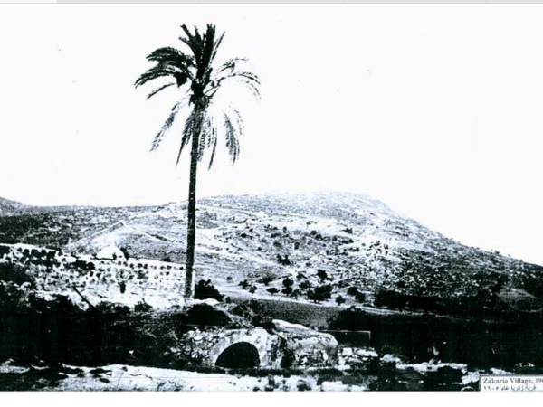 | موسوعة القرى الفلسطينية  | موسوعة القرى الفلسطينية