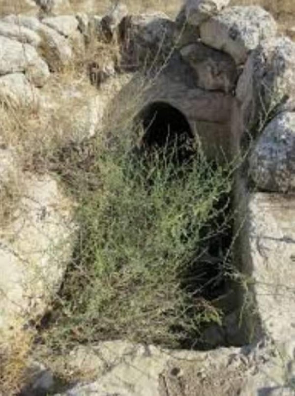 قرية بيت نتيف / الخليل