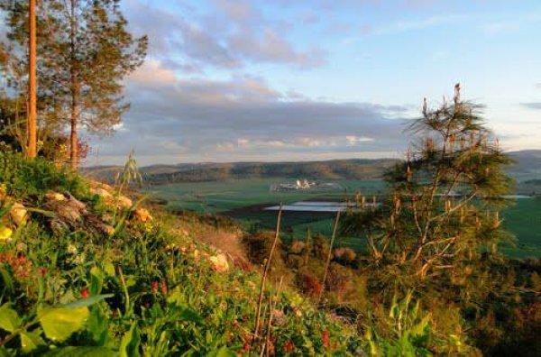 قرية بيت نتيف / الخليل