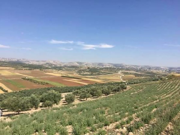 قرية بيت نتيف / الخليل