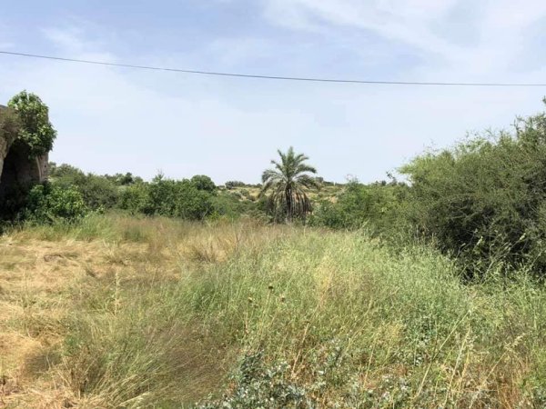 قرية عجور / الخليل