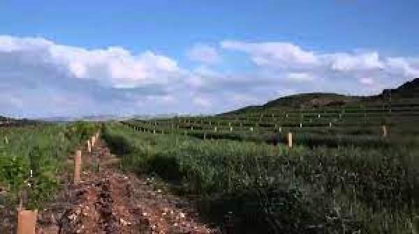 قرية عجور / الخليل