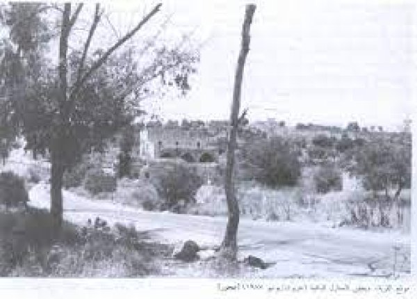 قرية عجور / الخليل قرية عجور / الخليل