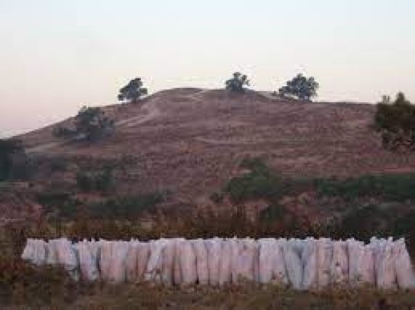  | موسوعة القرى الفلسطينية